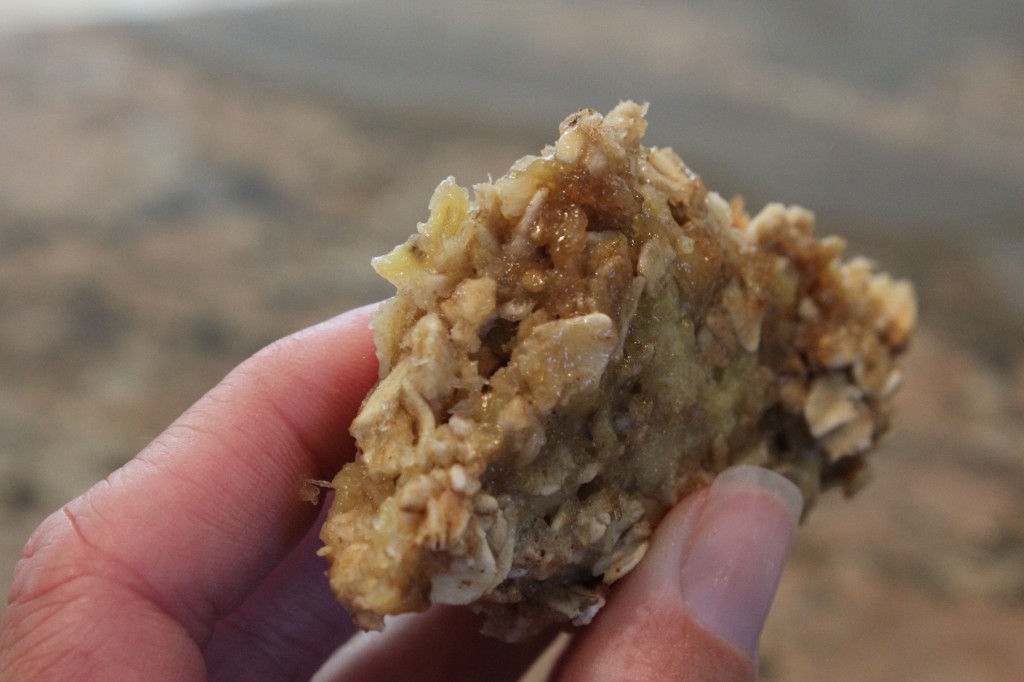 Up close of portion of one Biggie Microwave Banana Oat Cakes