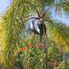 IMG_1093
