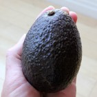 avocado