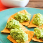 guacamole-17