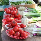 farmersmarket-12