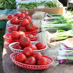 farmersmarket-12