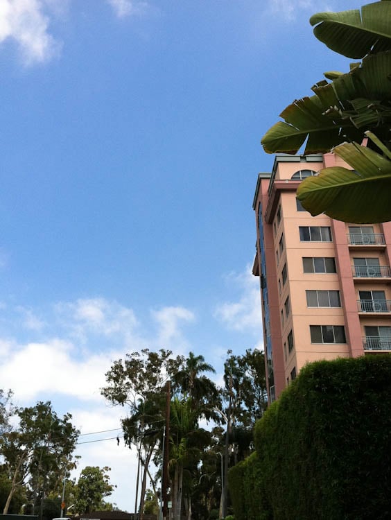 sky-2