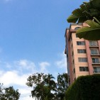 sky-2
