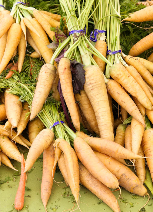 carrot