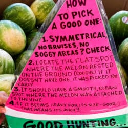 watermelontips