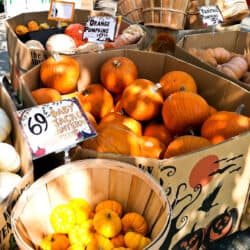 pumpkins
