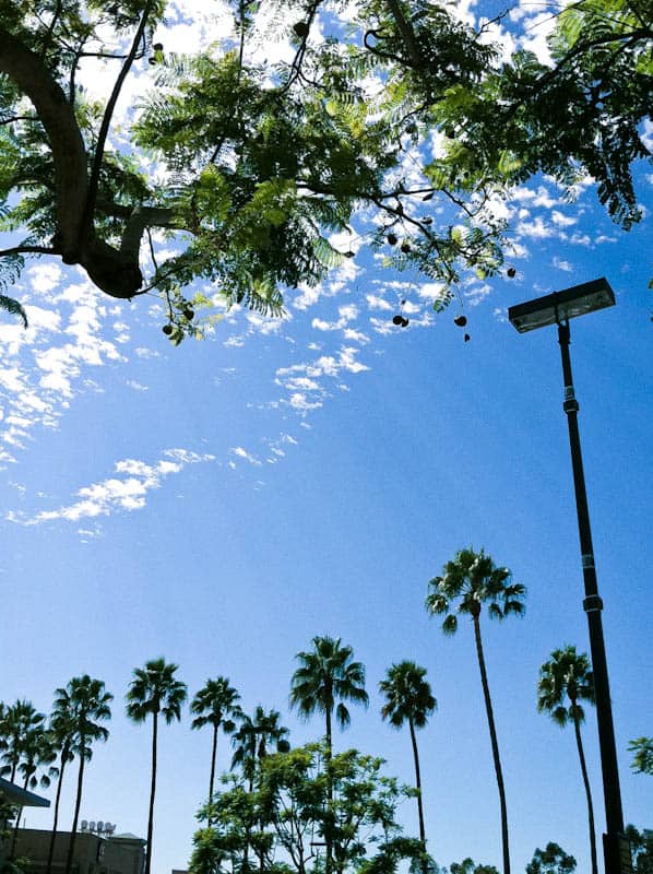 sky-22