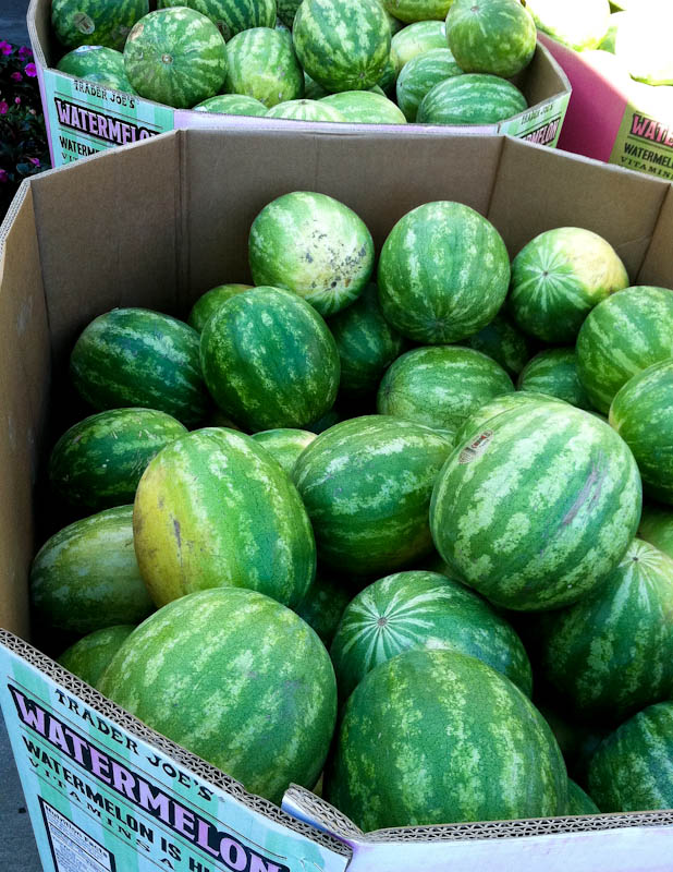 watermelon-7