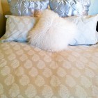 bed-3