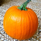 pumpkins-18