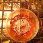 jelloshot