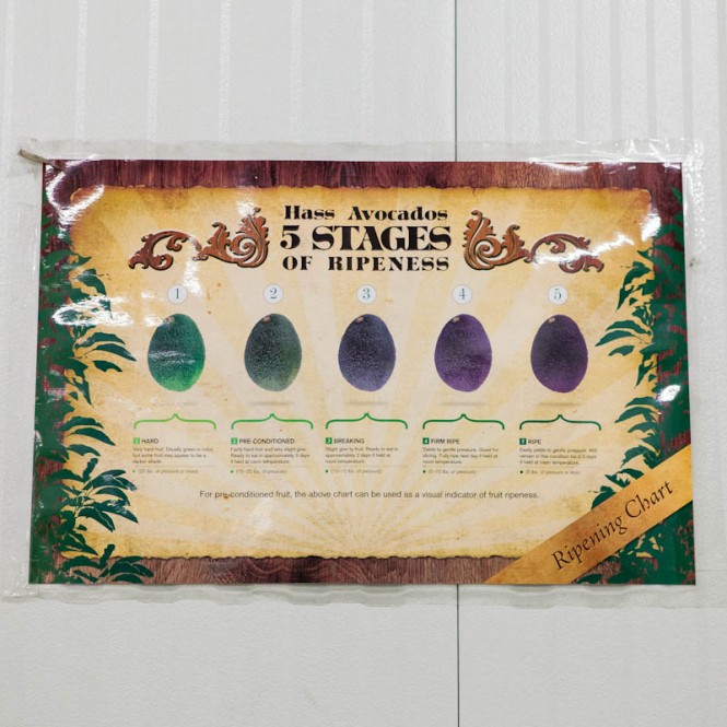 avocados-6
