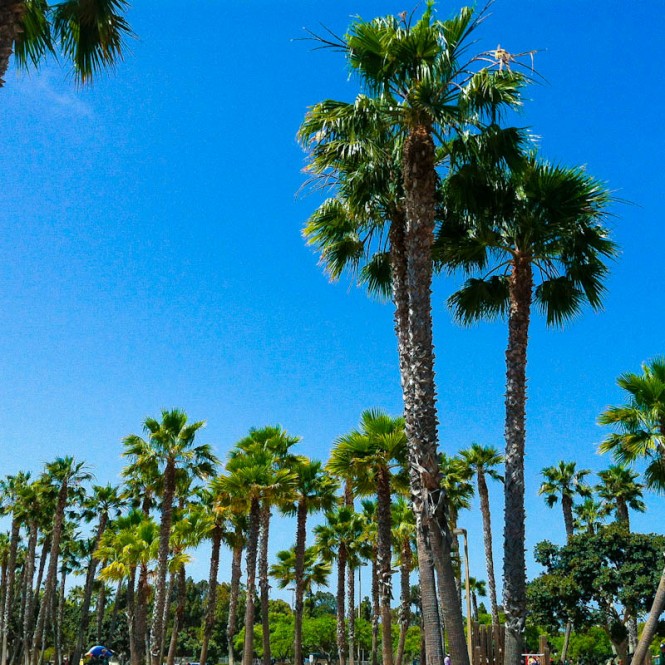 coronado-12