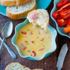 cheesedip-20