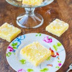 lemonbars-22