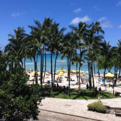 hawaiifoodandwinefestival