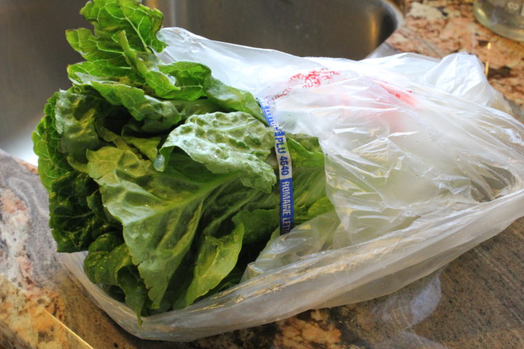 Bunch of lettuce in bag