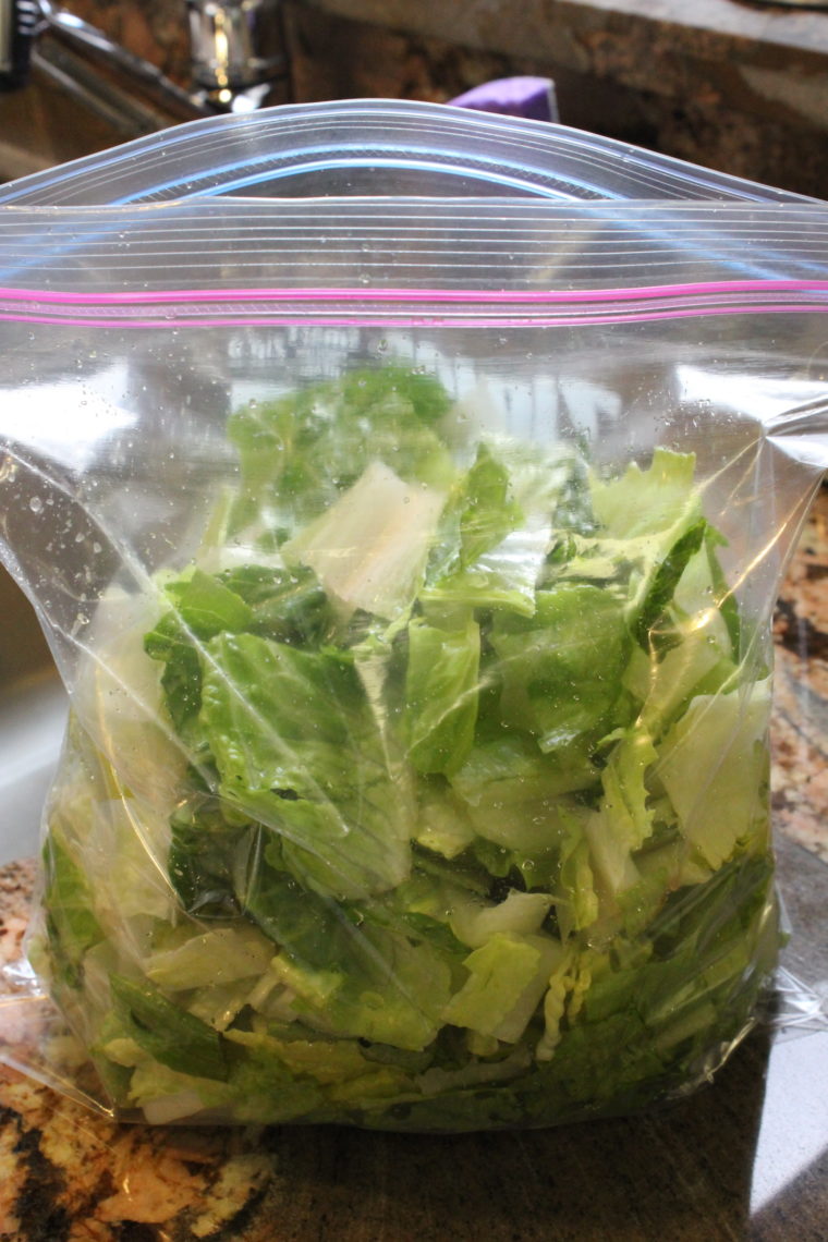 Lettuce put into zip top bag