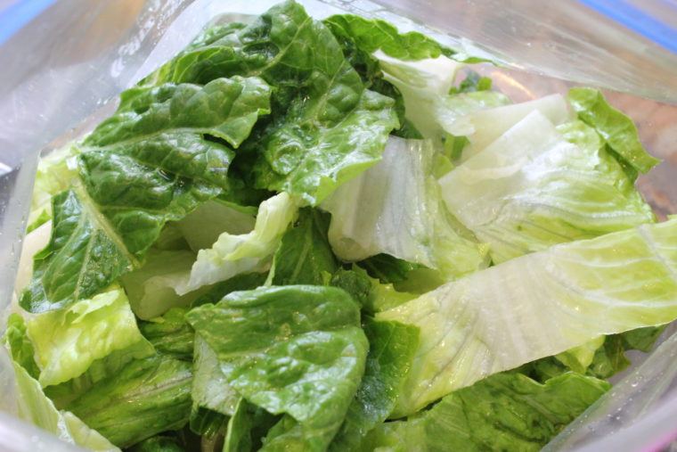 Inside bag of lettuce