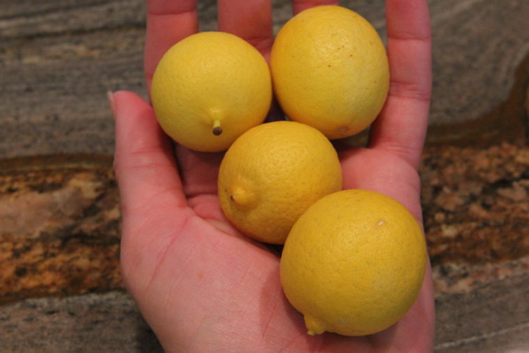 Hand holding lemons