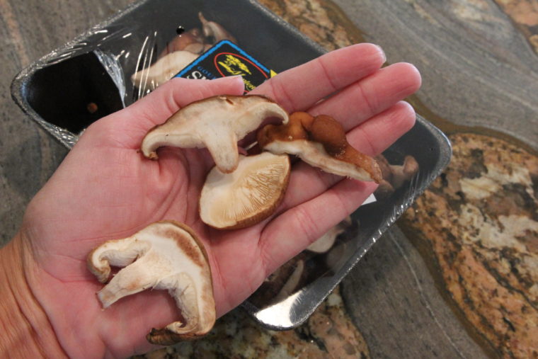 Hand holding a few Shiitake Mushrooms