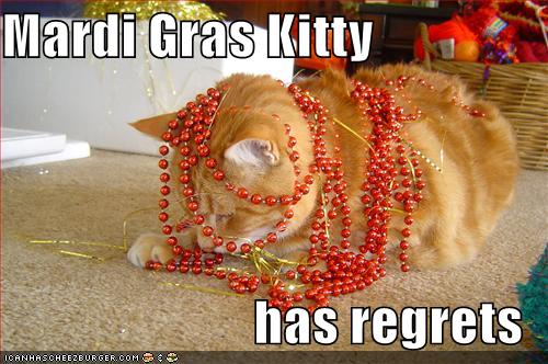 Meme with cat in beads what says Mardi Gras Kitty has regrets