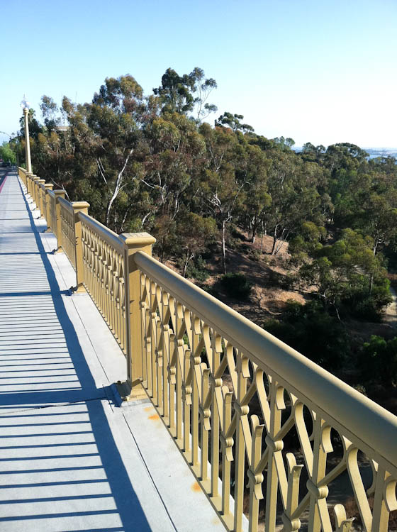 bridge overlooking trees