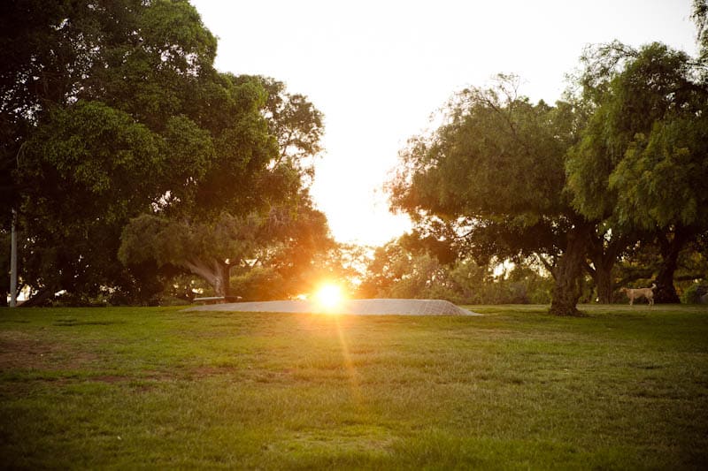 Landscape of park with sun looking over the horizon