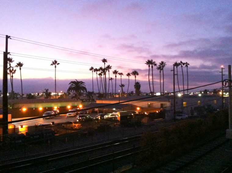 Purple sunset skies and palm trees