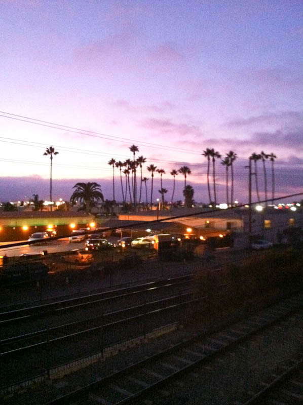 Palm trees and purple sunset skies
