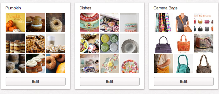 Pumpkin, Dishes, and Camera Bags pinterest boards