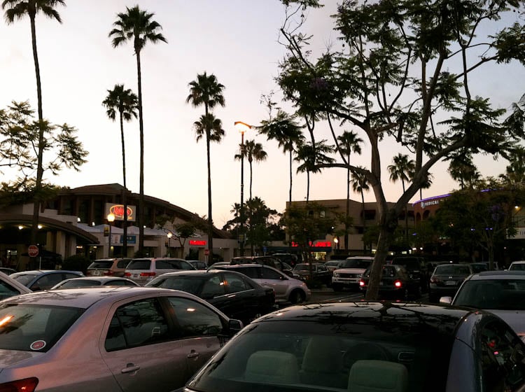 Grocery storefronts in parking lot with palm trees