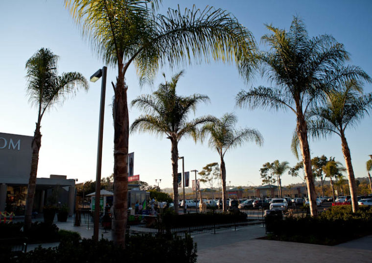 Parking lot of local mall with palm trees 