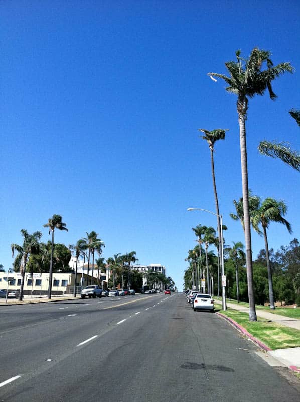 Street with palm trees lining the sides with blue sky