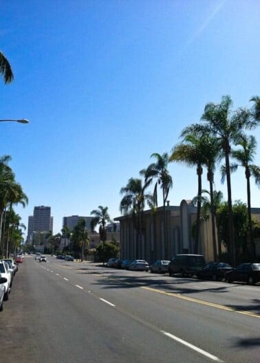 A sunny urban street lined with palm trees and parked cars, with buildings in the distance.