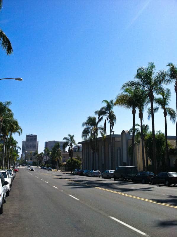 San diego street with palm trees 