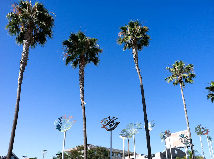 Palm trees and blue skies