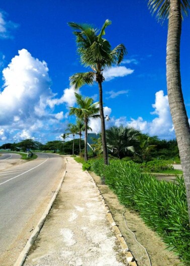A sunny day with few clouds over a winding road lined with palm trees and tropical vegetation.