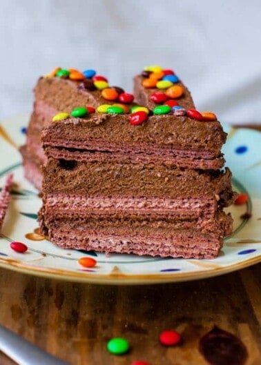 A slice of layered chocolate cake with colorful candy toppings on a decorative plate.