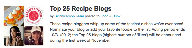 Top 25 Recipe Blogs by SkinnyScoop Team 