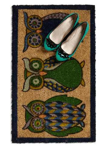 Doormat with owls on it and blue green shoes