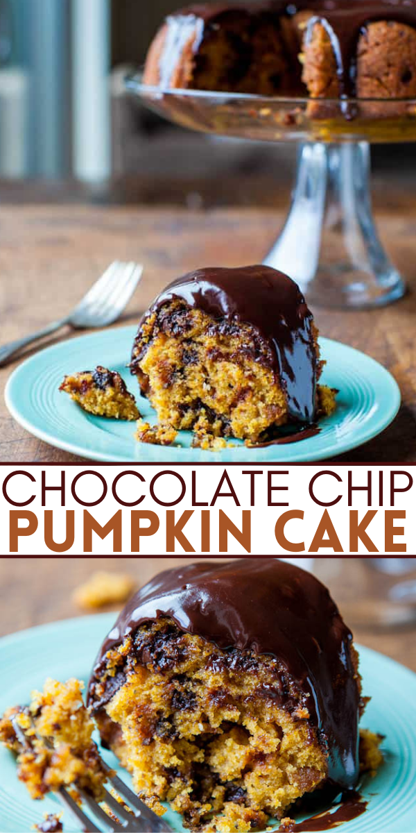 Chocolate Chip Pumpkin Bundt Cake — This easy pumpkin cake is loaded with chocolate chips and drizzled in rich and decadent chocolate ganache. It’s one of the best pumpkin cakes I’ve ever had!! An EASY no-mixer fall favorite cake that everyone just LOVES!