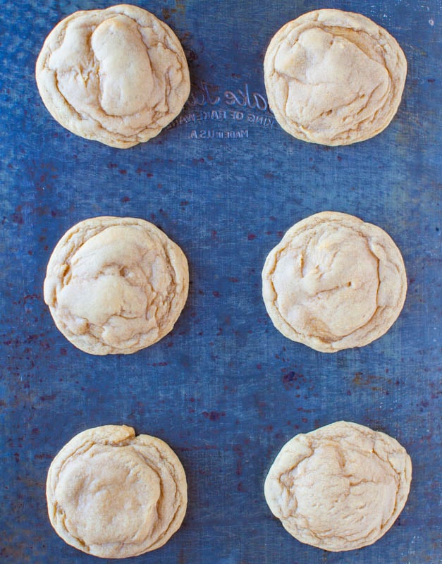 overhead view of 6 vanilla cookies 