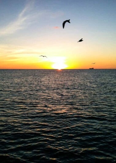Sunset over the ocean with birds flying in the sky.