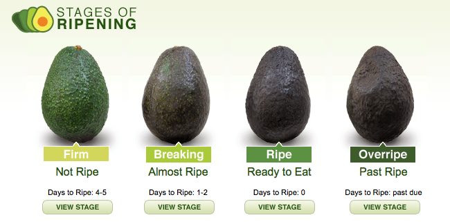 How to Pick the Best Avocados