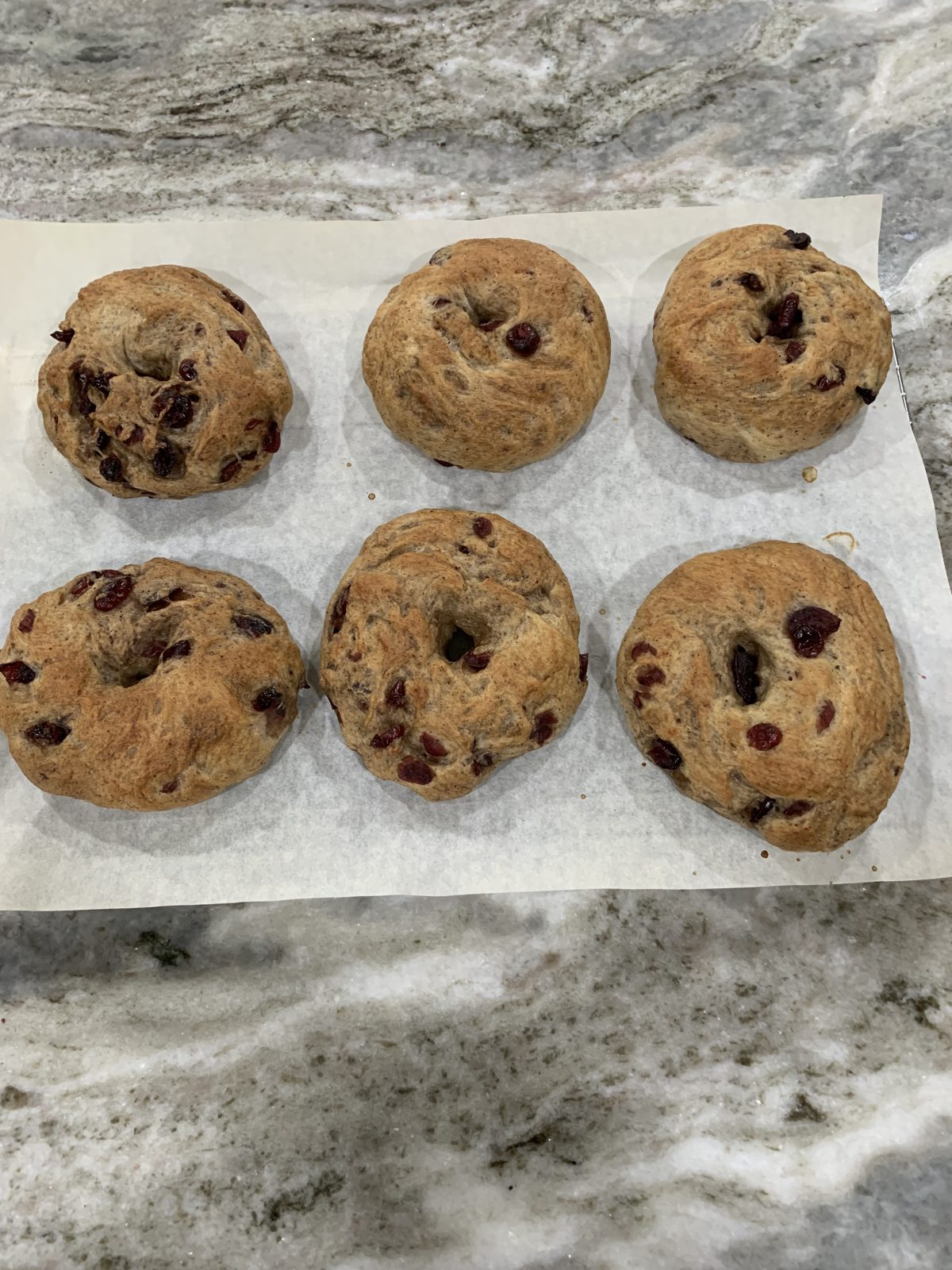 Six homemade bagels with cranberries on parchment paper atop a marble surface.