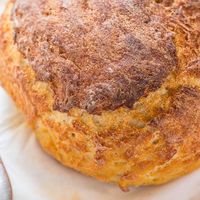 Close-up of a freshly baked loaf of bread with a golden-brown crust.