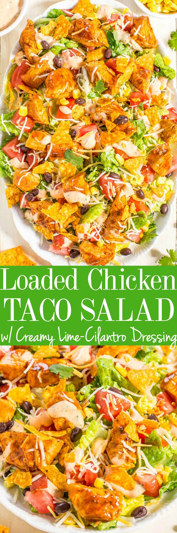 Loaded Chicken Taco Salad with Creamy Lime-Cilantro Dressing - Fast, easy, fresh and healthy!! All your favorite taco flavors in one big kickin' salad that everyone will love!! 