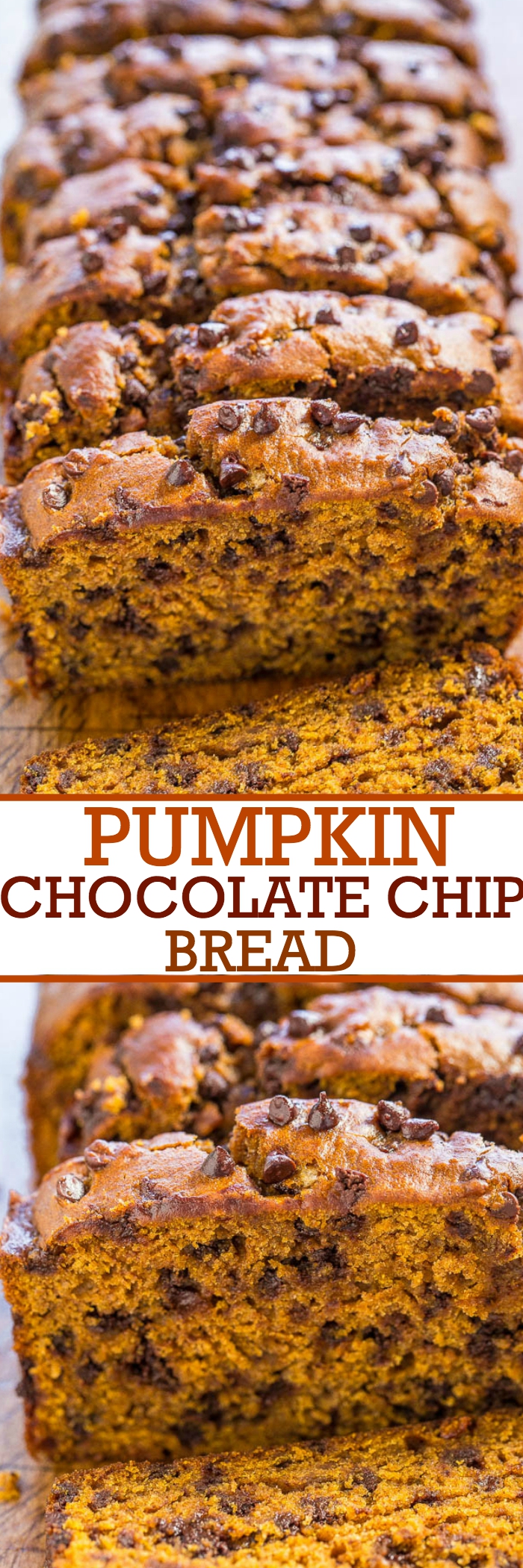 The Best Pumpkin Chocolate Chip Bread - Super soft, moist, rich pumpkin flavor, and loaded with chocolate chips! Easy, no mixer recipe that's the BEST!!